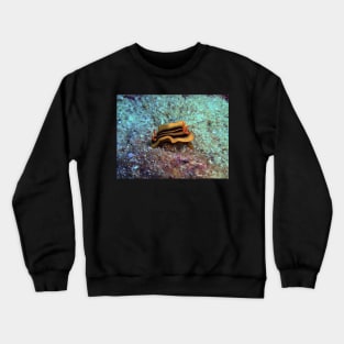 Chromodoris joshi nudibranch Crewneck Sweatshirt